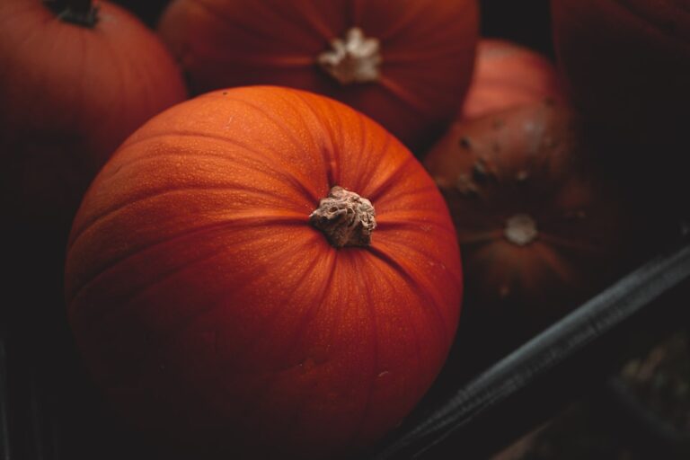 Photo Thanksgiving Trivia