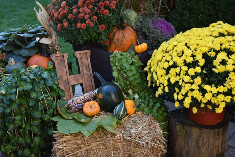 Photo Fall Harvest-themed decorations