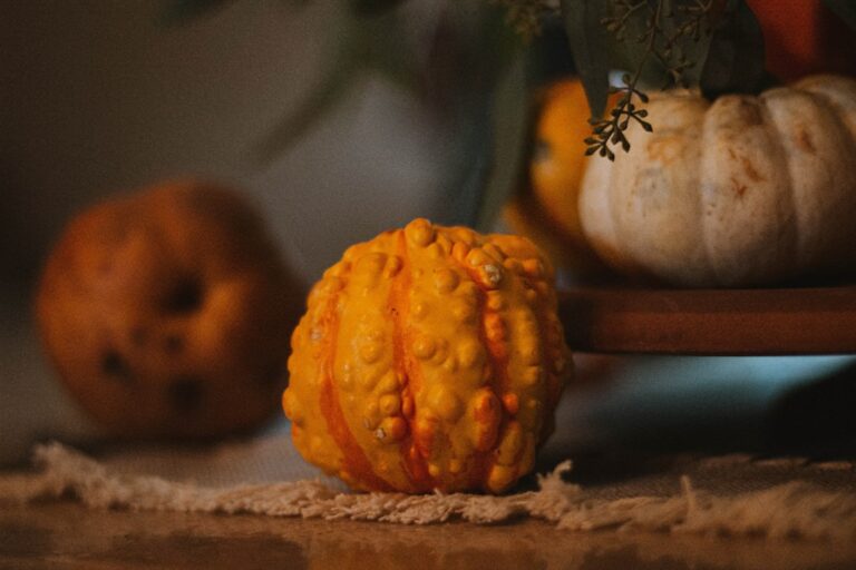 Photo Pumpkin Recipes