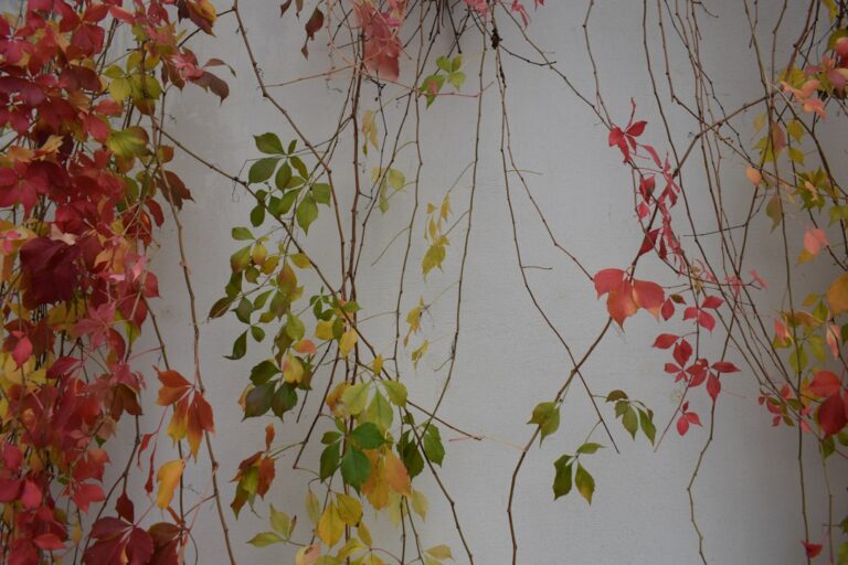 Photo Autumn-themed decor