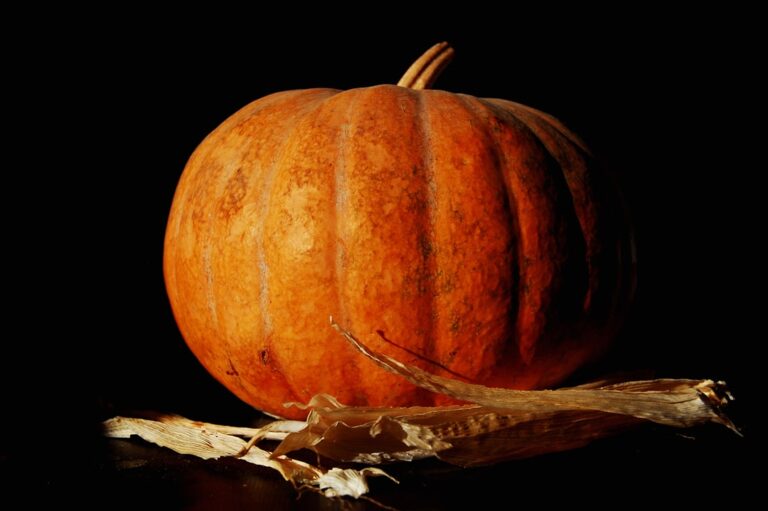 Photo Pumpkin Trivia